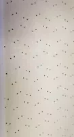64 Polara Headliner 2dr HT White